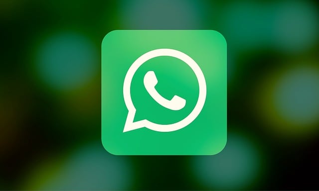 WhatsApp Business